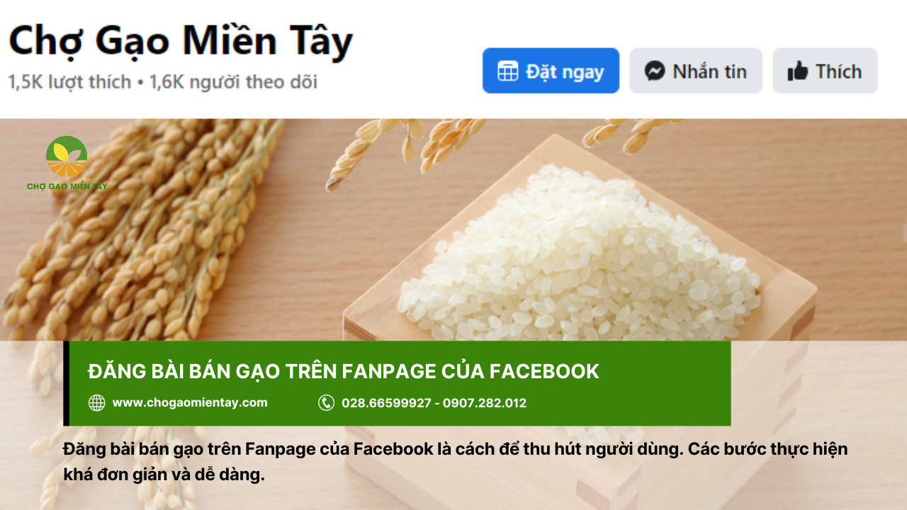 Cách đăng bài bán gạo, tuyệt chiêu kinh doanh gạo 100 đơn/ngày 4 Đăng bài bán gạo trên Fanpage