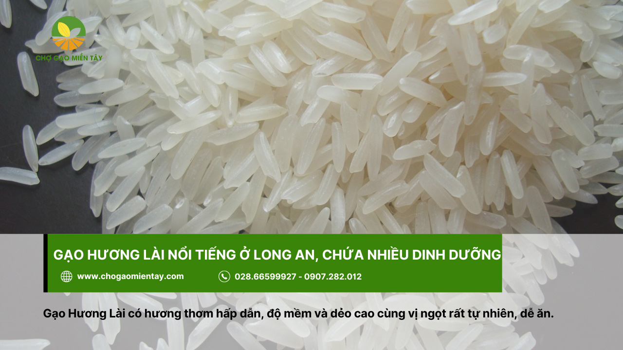 Top 10 các loại gạo ngon nhất Việt Nam được ưa chuộng 5 Gạo Hương Lài chứa hàm lượng dinh dưỡng cao
