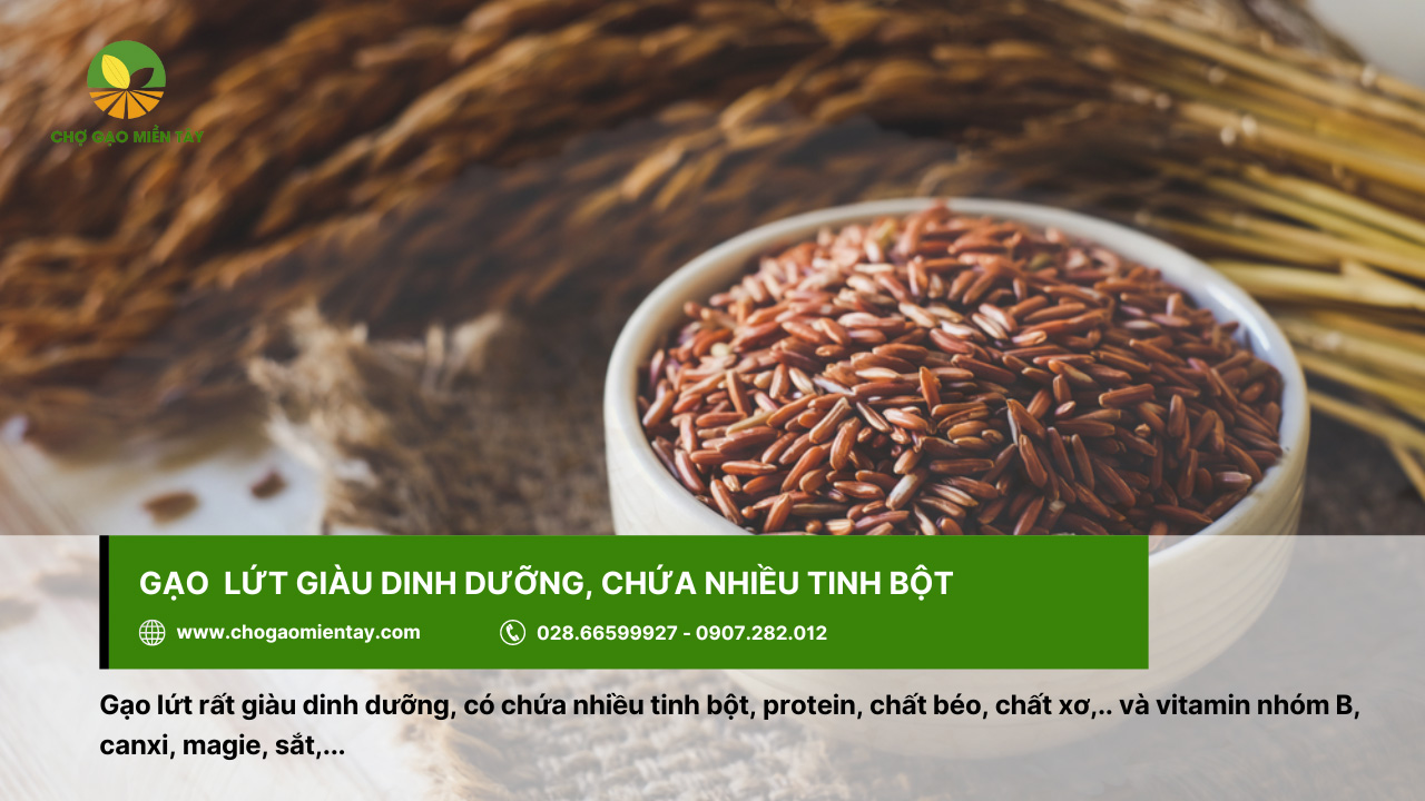 Tổng Hợp Các Tính Chất Của Các Gạo Phổ Biến Nhất 4 Gạo lứt đỏ chứa nhiều dinh dưỡng tốt cho sức khỏe