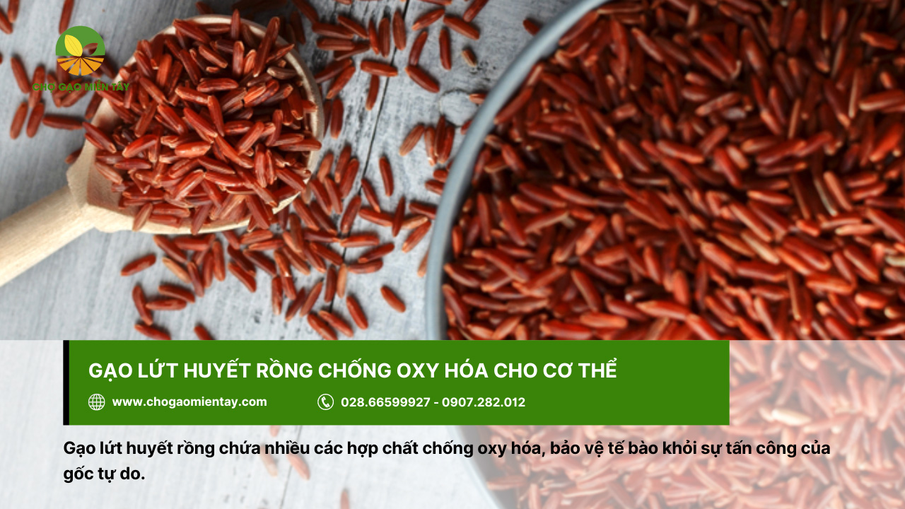 Gạo lứt huyết rồng là gì? Công dụng & Tác dụng đối với cơ thể 10 Gạo lứt huyết rồng giúp chống oxy hóa, giữ nhan sắc tươi trẻ