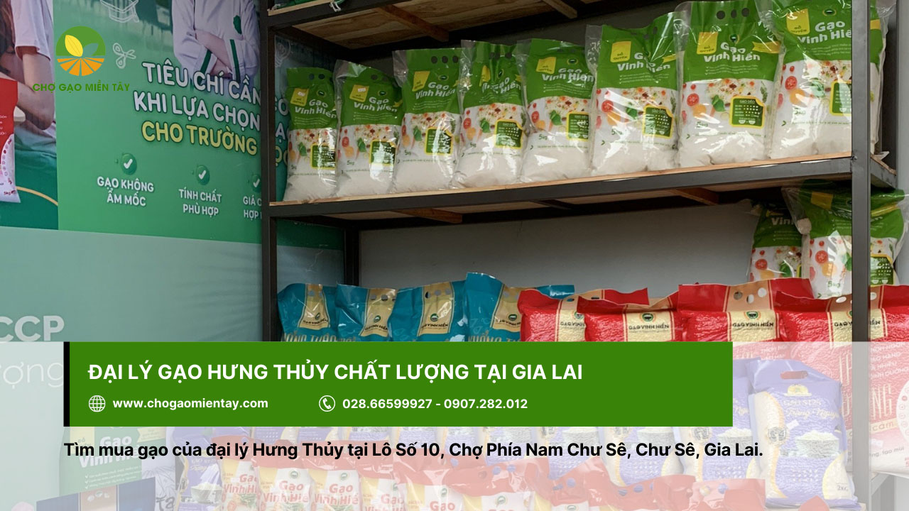 Đại lý gạo gần đây nhất, vựa gạo sỉ và lẻ giá rẻ tại TPHCM 35 Hưng Thủy - đại lý cung cấp gạo chất lượng