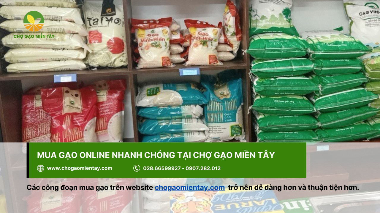 Đại lý gạo gần đây nhất, vựa gạo sỉ và lẻ giá rẻ tại TPHCM 3 Mua gạo trực tuyến tại website của Chợ Gạo Miền Tây - chogaomientay.com
