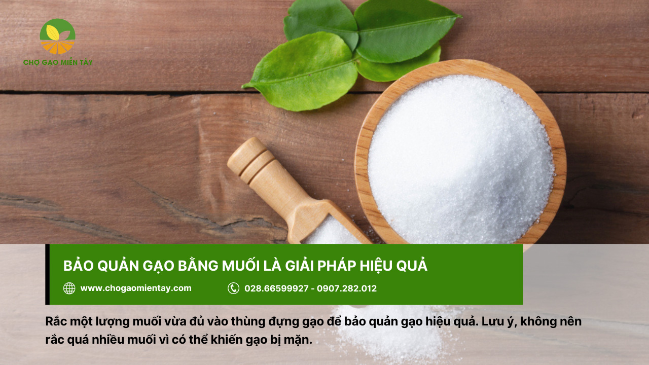 Bí quyết bảo quản gạo được lâu cả năm vẫn không bị sâu mọt 7 Bảo quản gạo bằng muối
