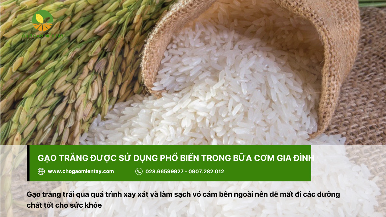 Tổng Hợp Các Tính Chất Của Các Gạo Phổ Biến Nhất 5 Gạo trắng được sử dụng phổ biến trong bữa cơm gia đình