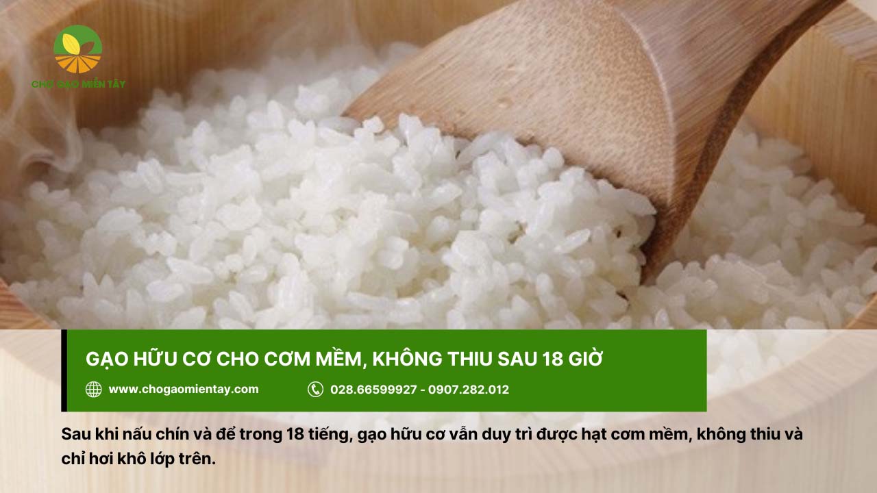 Gạo hữu cơ là gì? Có an toàn đối với sức khỏe người dùng? 7 Gạo hữu cơ khi nấu sẽ cho cơm mềm