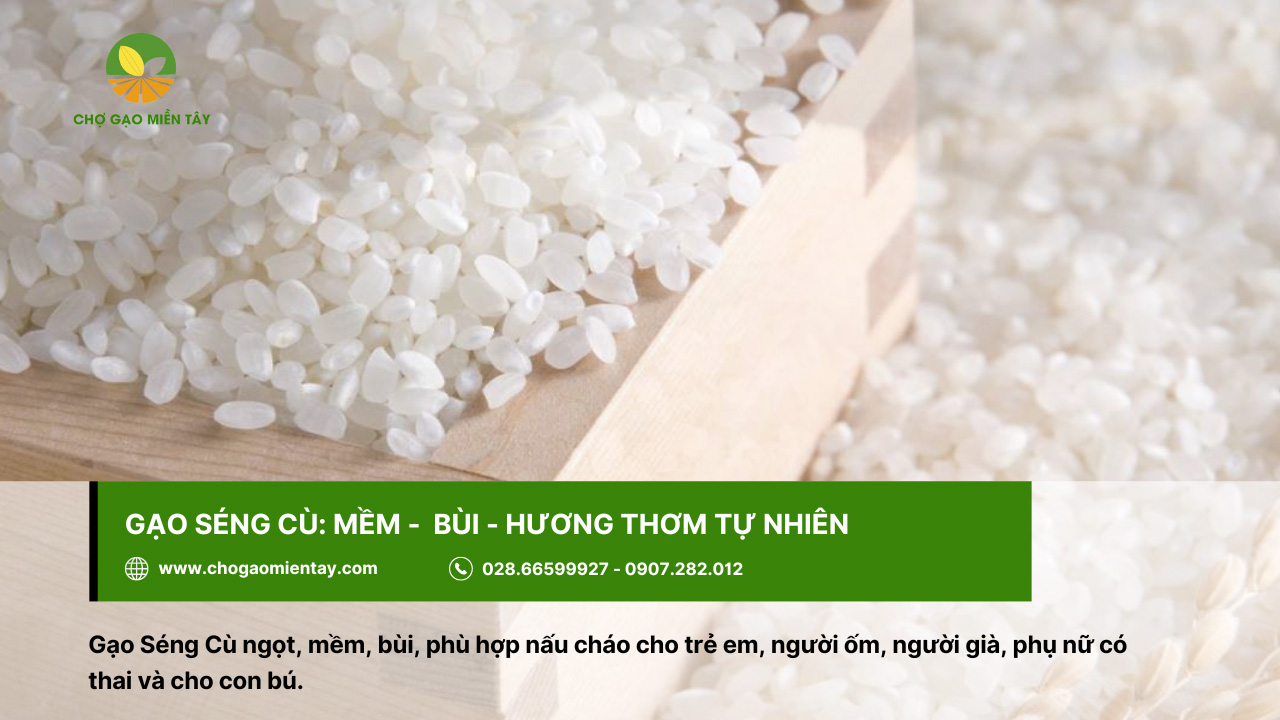 Gạo ngon ở Hà Nội mua ở đâu uy tín chất lượng 3 Gạo Séng Cù với mùi thơm đặc trưng