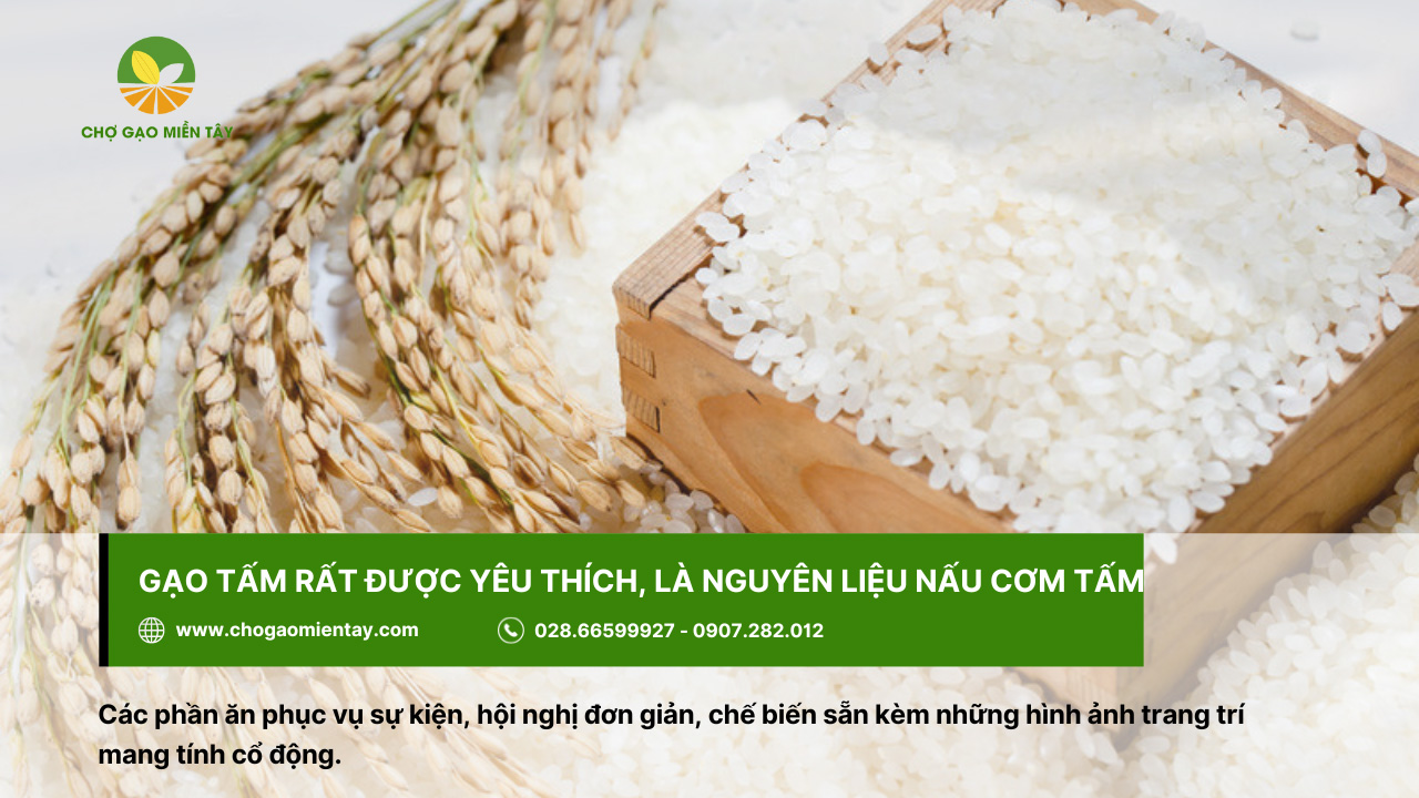 Tổng Hợp Các Tính Chất Của Các Gạo Phổ Biến Nhất 6 Gạo tấm rất được yêu thích, là nguyên liệu để nấu cơm tấm