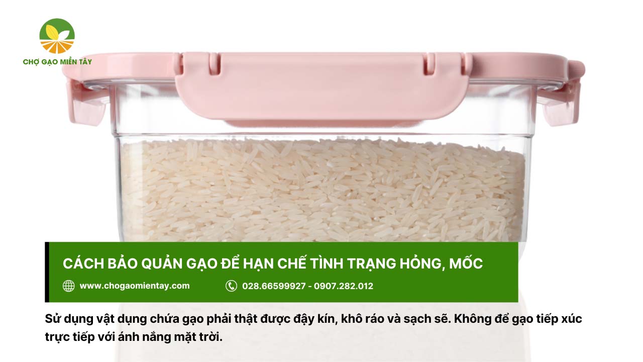Bí quyết bảo quản gạo được lâu cả năm vẫn không bị sâu mọt 4 Bảo quản gạo bằng những vật dụng khô ráo và đậy nắp thật kín