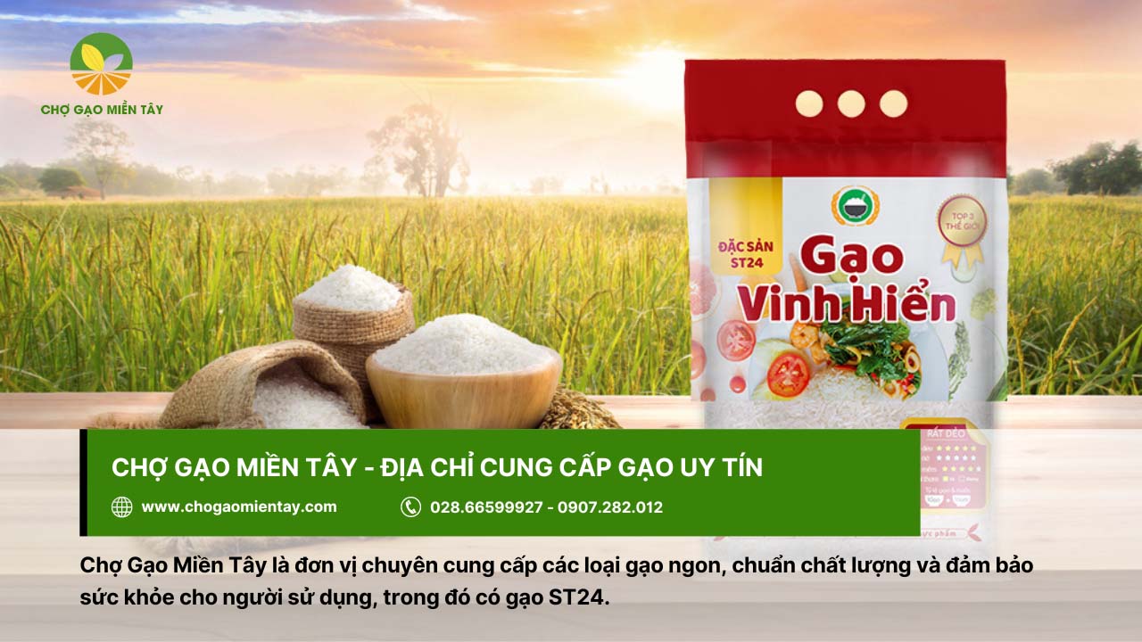 Đặc tính giống ST24 và kỹ thuật giúp gieo trồng hiệu quả hiện nay 7 Chợ Gạo Miền Tây cung cấp gạo đảm bảo sức khỏe cho người dùng