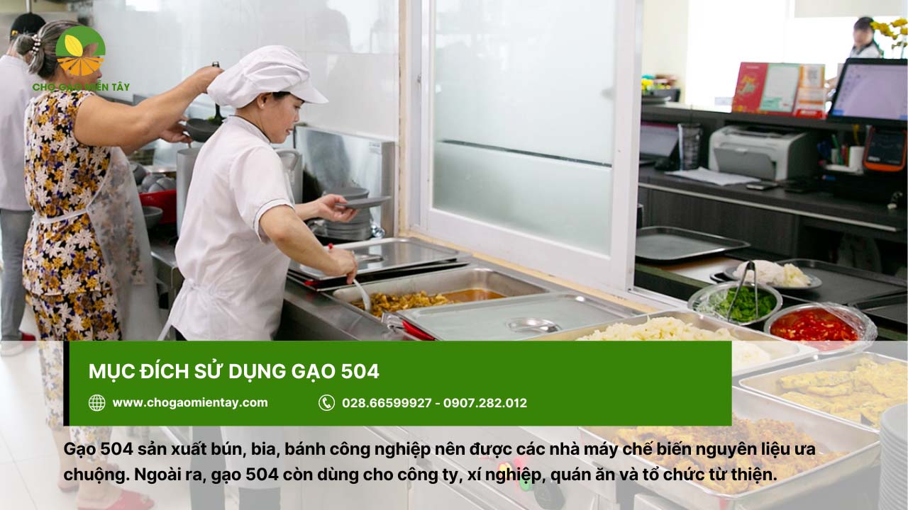 Gạo 504 7 Gạo 504 cung cấp cho bếp ăn công nghiệp, công ty, xí nghiệp, quán ăn, tổ chức từ thiện