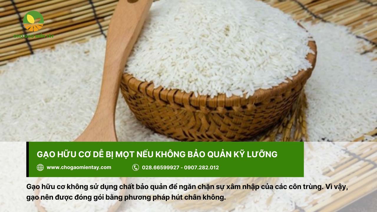 Gạo hữu cơ là gì? Có an toàn đối với sức khỏe người dùng? 8 Cần bảo quản kỹ gạo hữu cơ để tránh mọt xâm nhập