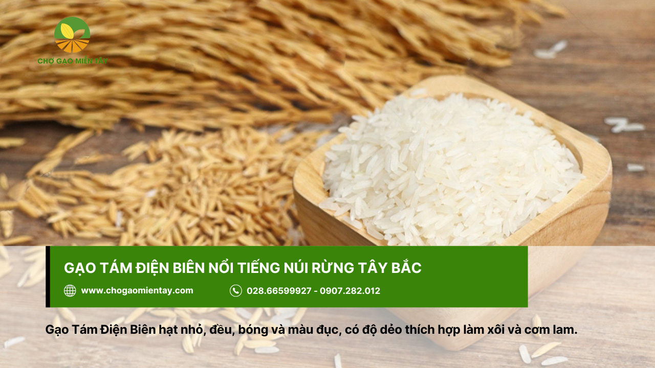 Gạo ngon ở Hà Nội mua ở đâu uy tín chất lượng 6 Gạo tám Điện Biên có vị thanh mát