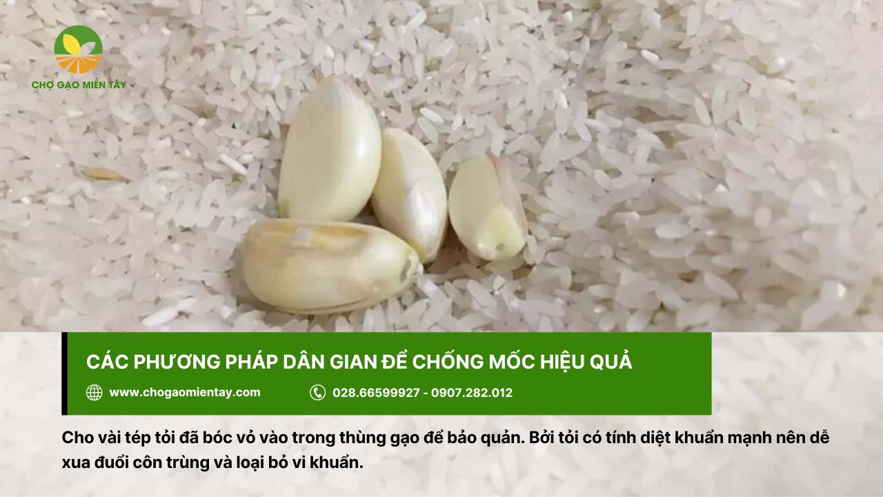 Bí quyết bảo quản gạo được lâu cả năm vẫn không bị sâu mọt 12 Chống gạo mốc bằng tỏi