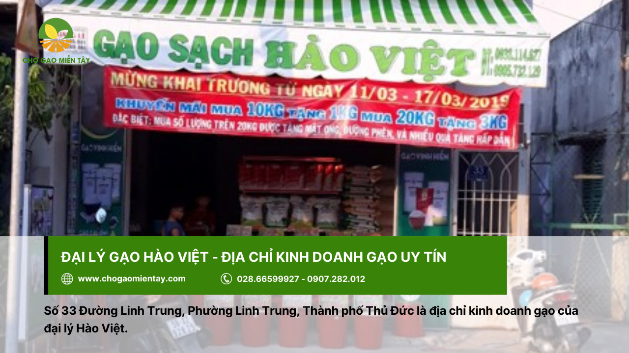 Đại lý gạo gần đây nhất, vựa gạo sỉ và lẻ giá rẻ tại TPHCM 10 Hào Việt là địa chỉ kinh doanh gạo uy tín