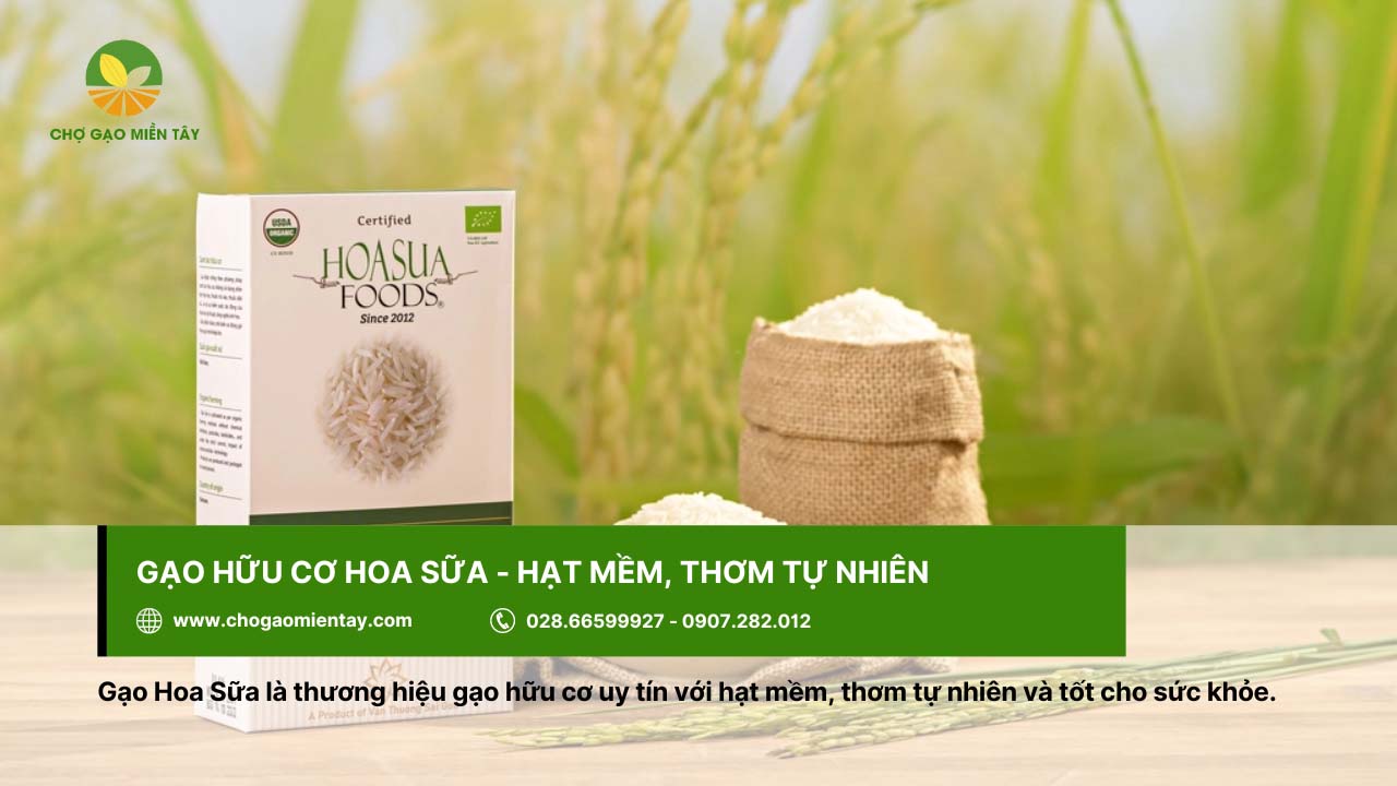 Gạo hữu cơ là gì? Có an toàn đối với sức khỏe người dùng? 9 Gạo hữu cơ Hoa Sữa tốt cho sức khỏe người dùng