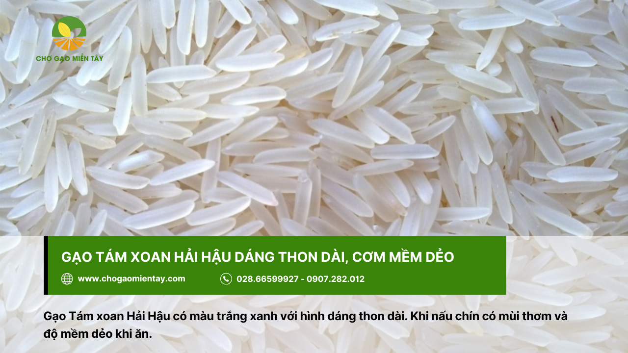 Top 10 các loại gạo ngon nhất Việt Nam được ưa chuộng 9 Gạo Tám xoan Hải Hậu đặc trưng bởi độ mềm dẻo