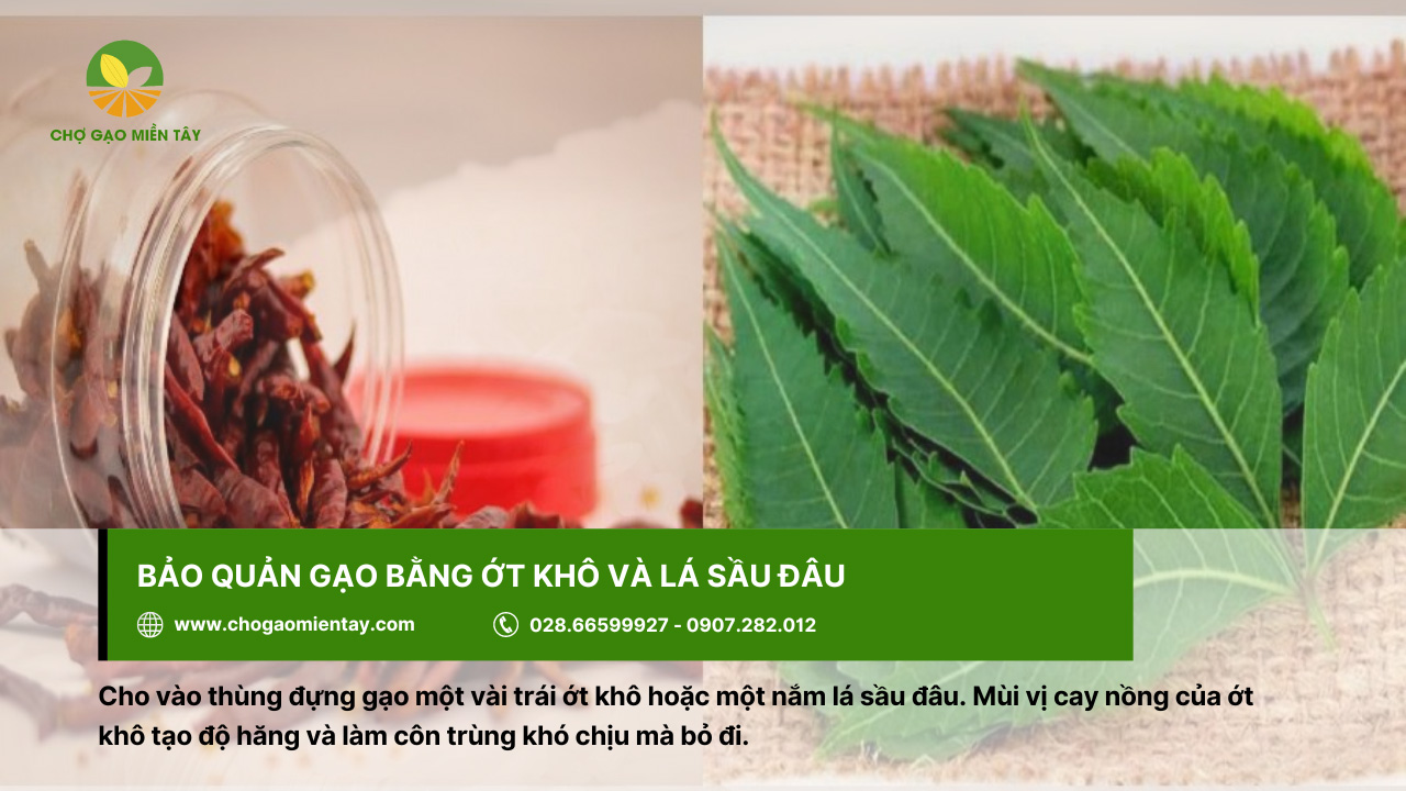 Bí quyết bảo quản gạo được lâu cả năm vẫn không bị sâu mọt 11 Lá sầu đâu hoặc ớt khô đều có thể giúp bảo quản gạo hiệu quả