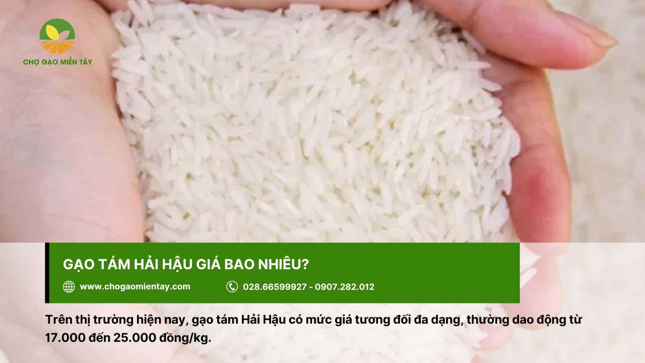 Gạo Tám Hải Hậu 9 Giá của gạo tám Hải Hậu khoảng 17.000 - 25.000 đồng/kg