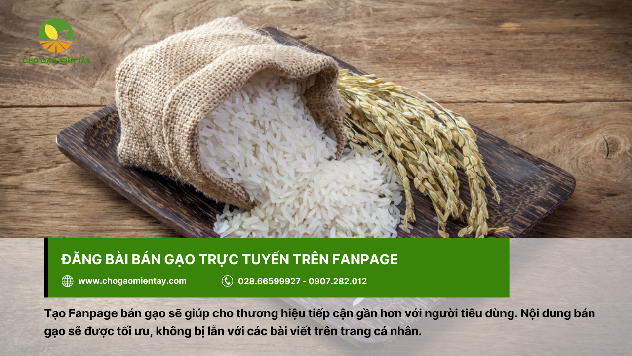 Cách đăng bài bán gạo, tuyệt chiêu kinh doanh gạo 100 đơn/ngày 10 Đăng bài bán gạo trên Fanpage sẽ giúp tiếp cận với nhiều người dùng hơn