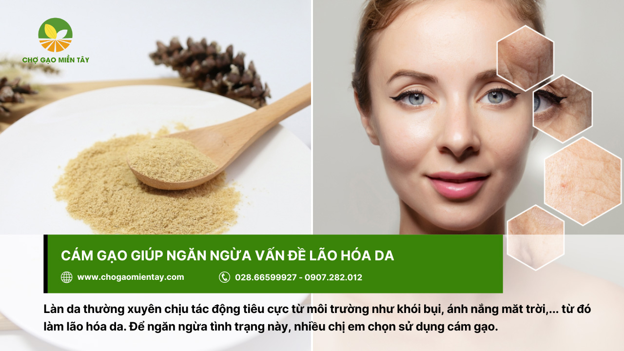 Cám gạo là gì? Các thành phần dinh dưỡng trong cám gạo 11 Dùng cám gạo để ngăn ngừa tình trạng lão hóa ở da