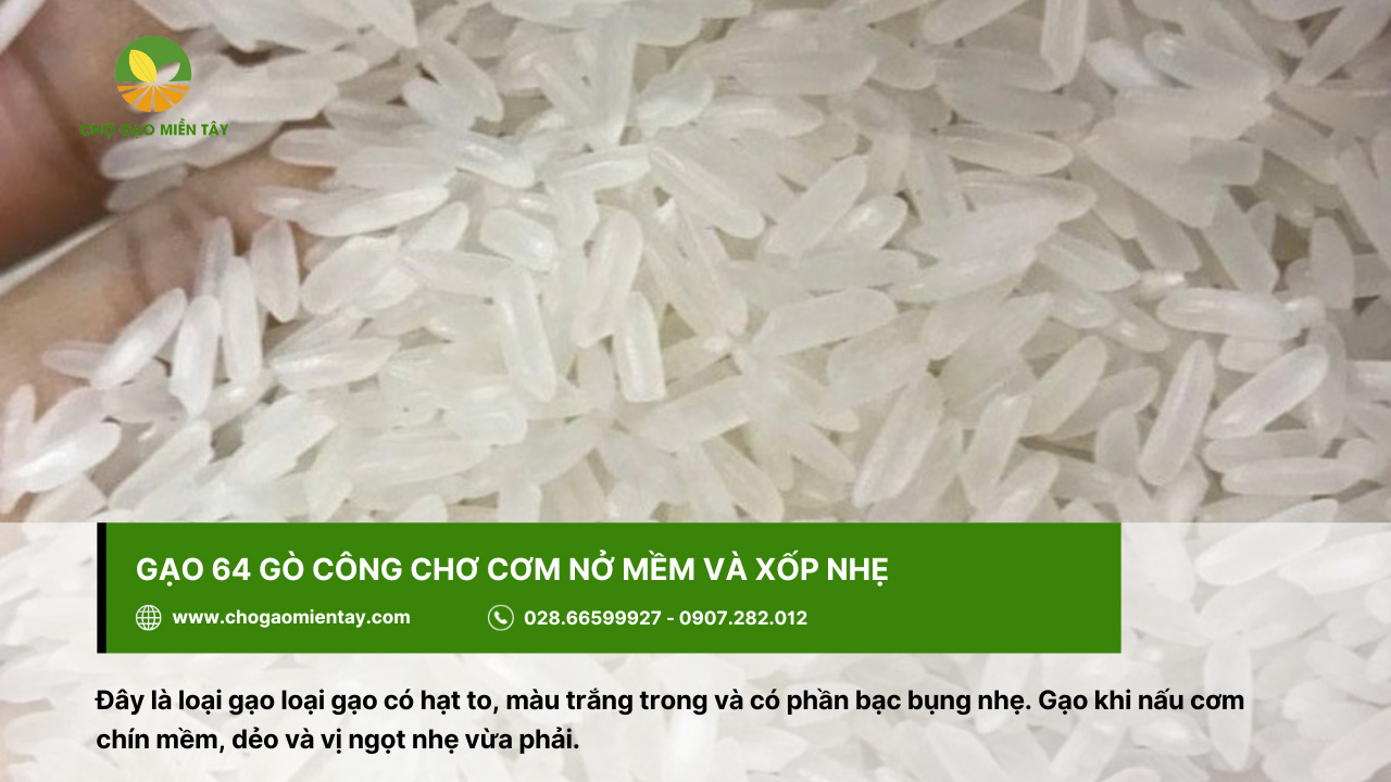 Tổng Hợp Các Tính Chất Của Các Gạo Phổ Biến Nhất 10 Gạo 64 Gò Công cho cơm xốp nhẹ, nở mềm