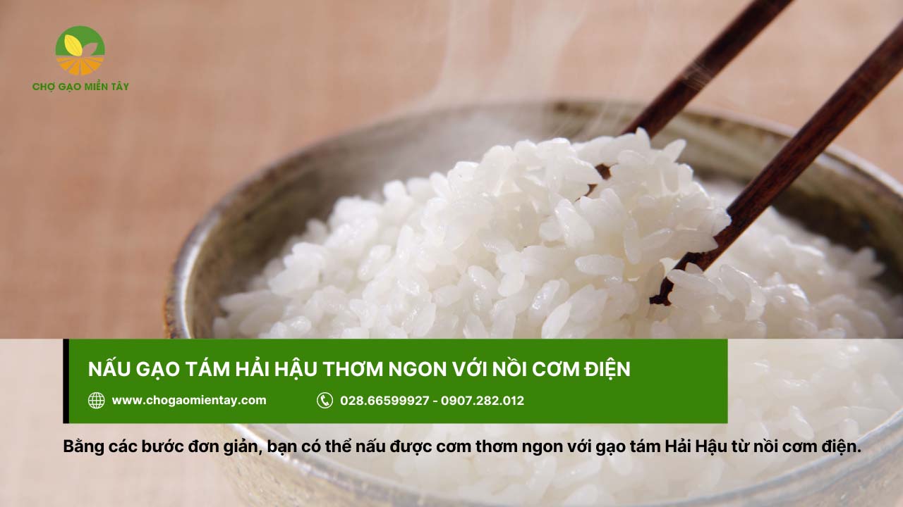 Gạo Tám Hải Hậu 10 Gạo tám Hải Hậu cho cơm thơm ngon