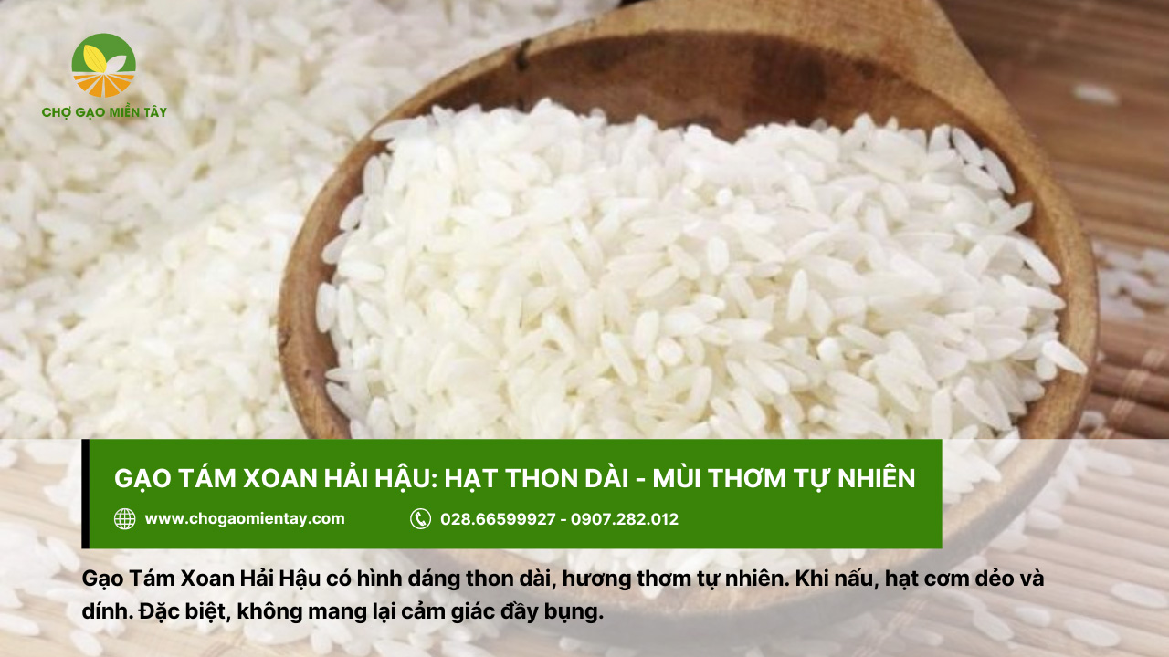 Top 10 các loại gạo ngon nhất Việt Nam được ưa chuộng 10 Gạo tám xoan Hải Hậu với mùi thơm tự nhiên