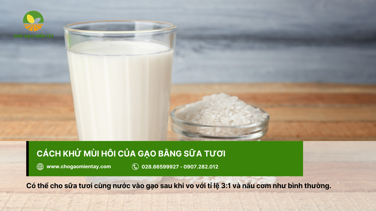 Cách khử mùi hôi của gạo, gạo bị mốc hiệu quả 13 Khử mùi hôi của gạo bằng sữa tươi giúp cơm được thơm ngon hơn