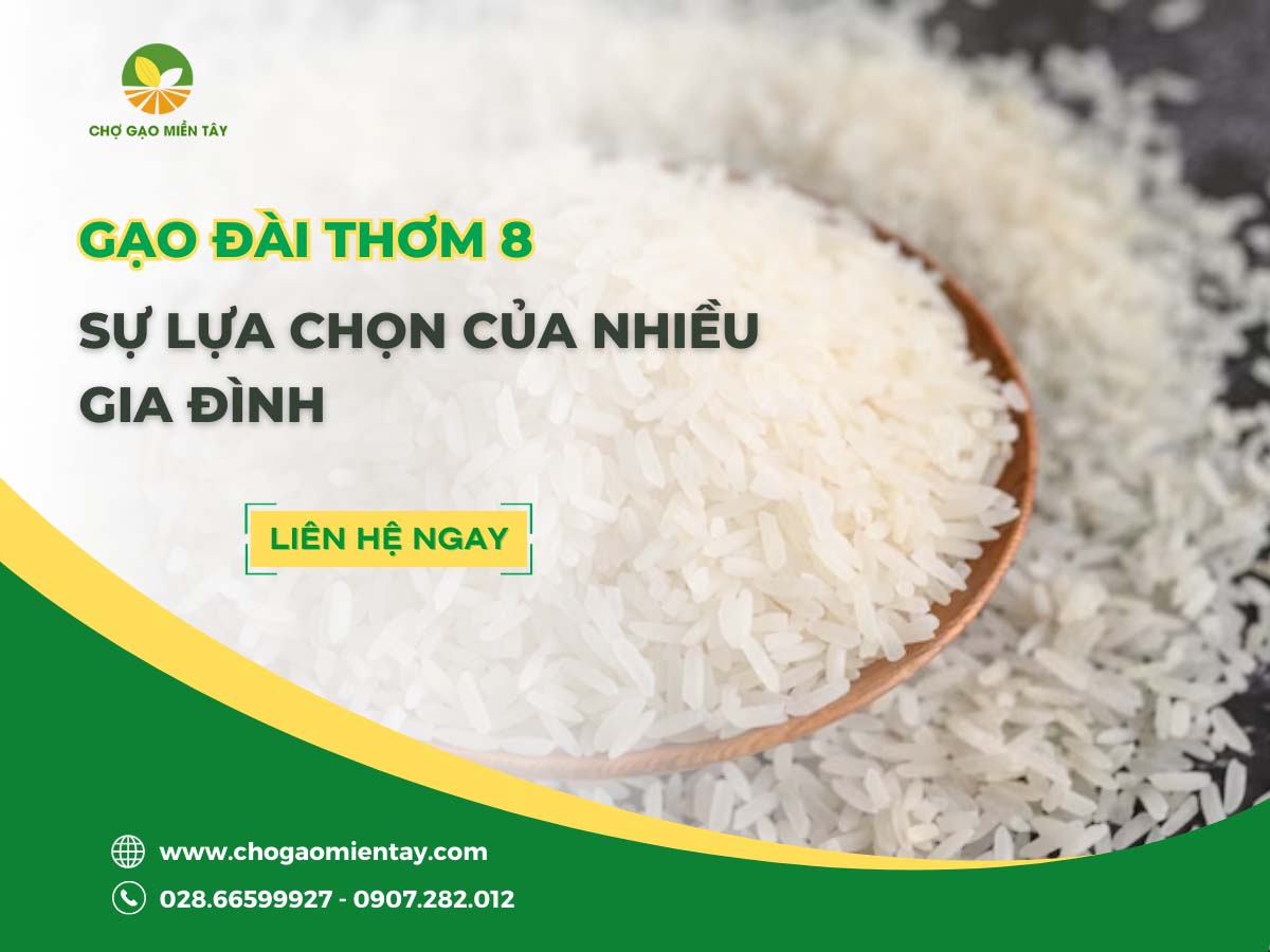 Tìm hiểu về Gạo Đài Thơm 8 1 Gạo Đài Thơm 8 - Sự lựa chọn của nhiều gia đình 2023