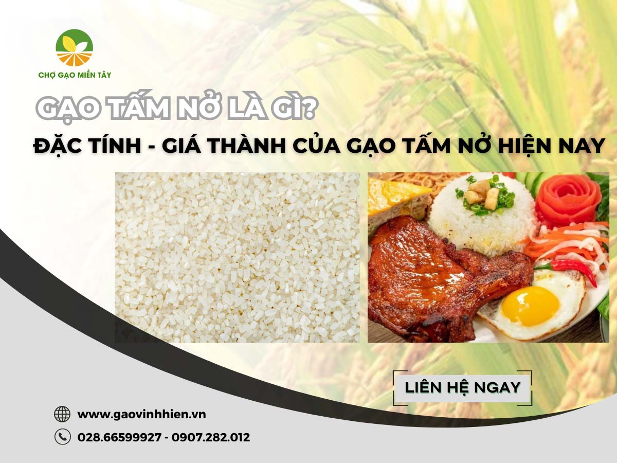 Gạo Tấm Nở 1 Gạo tấm nở là gì? Đặc tính và giá thành của gạo tấm nở hiện nay
