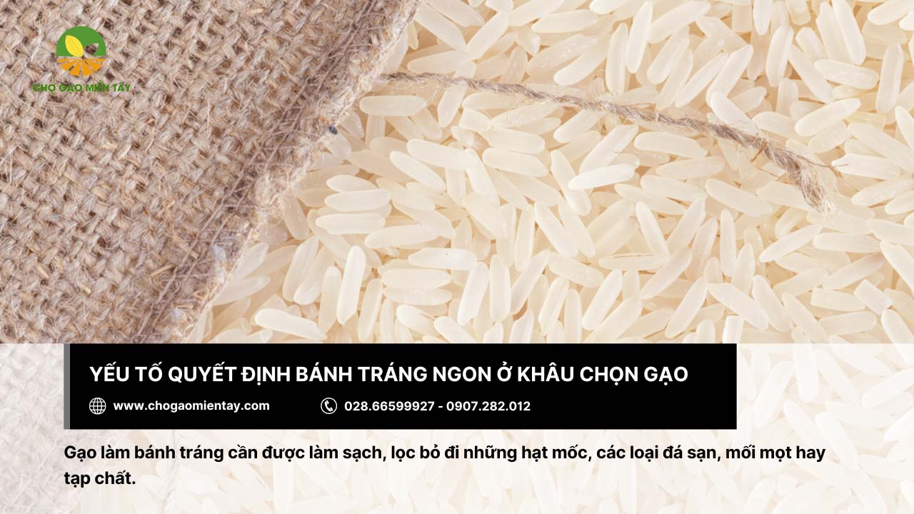 Chọn gạo làm bánh tráng 3 Cần chọn gạo kỹ lưỡng khi làm bánh tráng