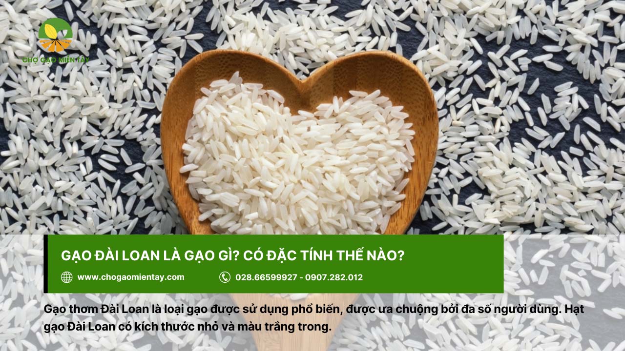 Gạo Đài Loan Sữa Gò Công 1 Gạo Đài Loan là một trong các loại gạo được ưa chuộng hiện nay