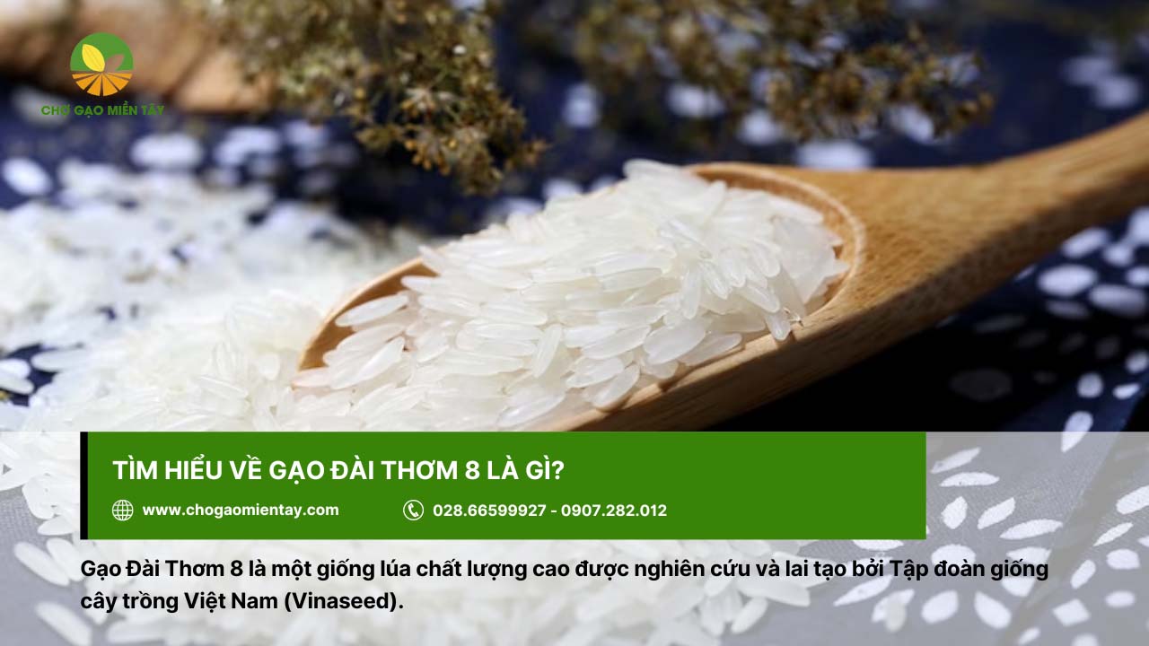 Tìm hiểu về Gạo Đài Thơm 8 2 Gạo Đài Thơm 8 là một giống lúa chất lượng cao