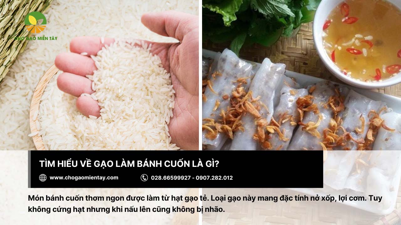 Gạo làm bánh cuốn thơm ngon, đầy hấp dẫn 2 Gạo làm bánh cuốn thường là gạo tẻ