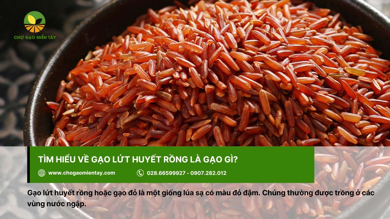 Gạo lứt huyết rồng là gì? Công dụng & Tác dụng đối với cơ thể 2 Gạo lứt huyết rồng có màu đỏ đậm