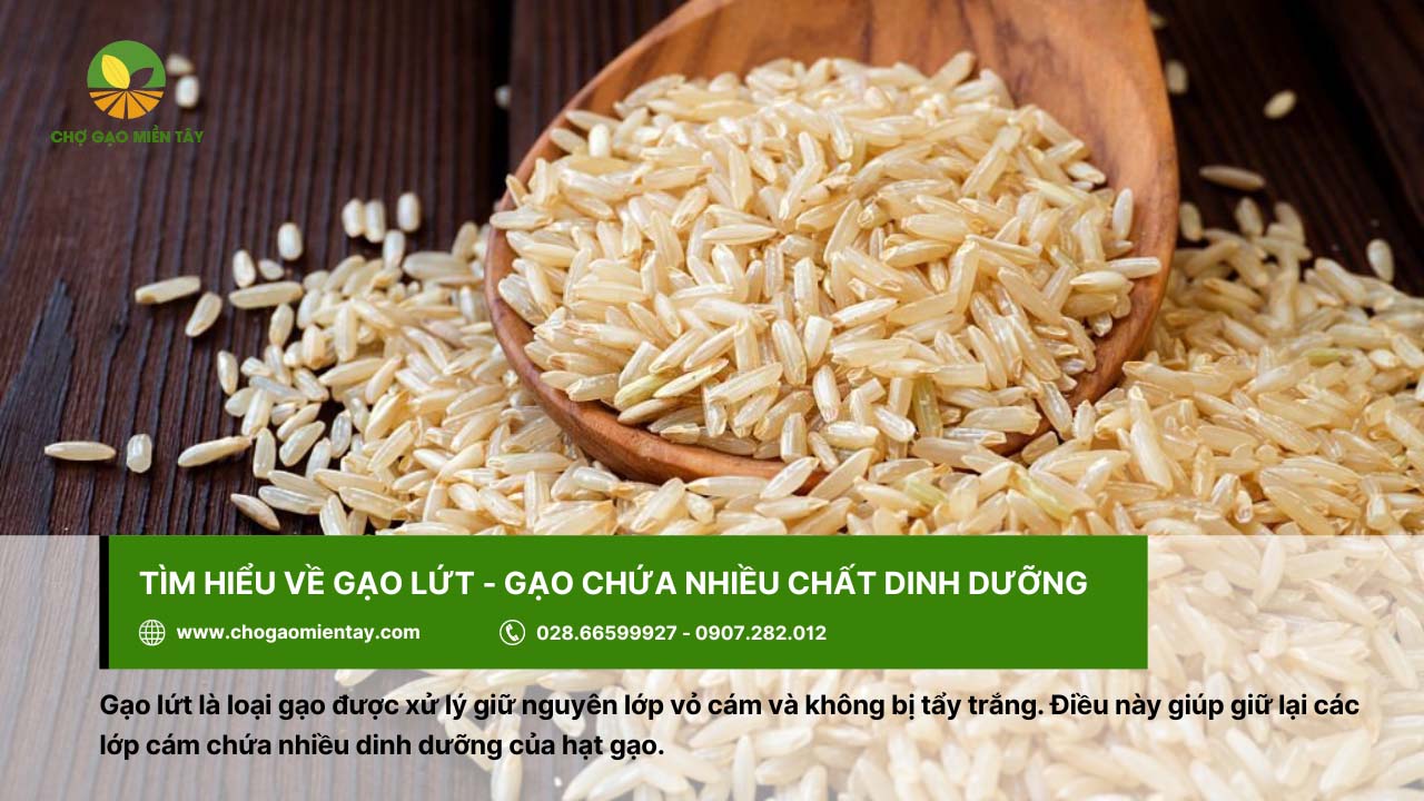 Gạo Lứt Huyết Rồng 1 Gạo lứt là gạo được xử lý giữ nguyên lớp vỏ cám
