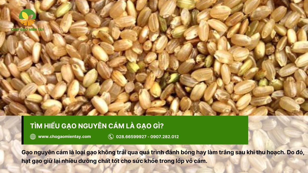 Gạo nguyên cám là gì? Phân biệt giữa gạo nguyên cám và gạo còn cám 2 Gạo nguyên cám không trải qua quá trình đánh bóng sau thu hoạch
