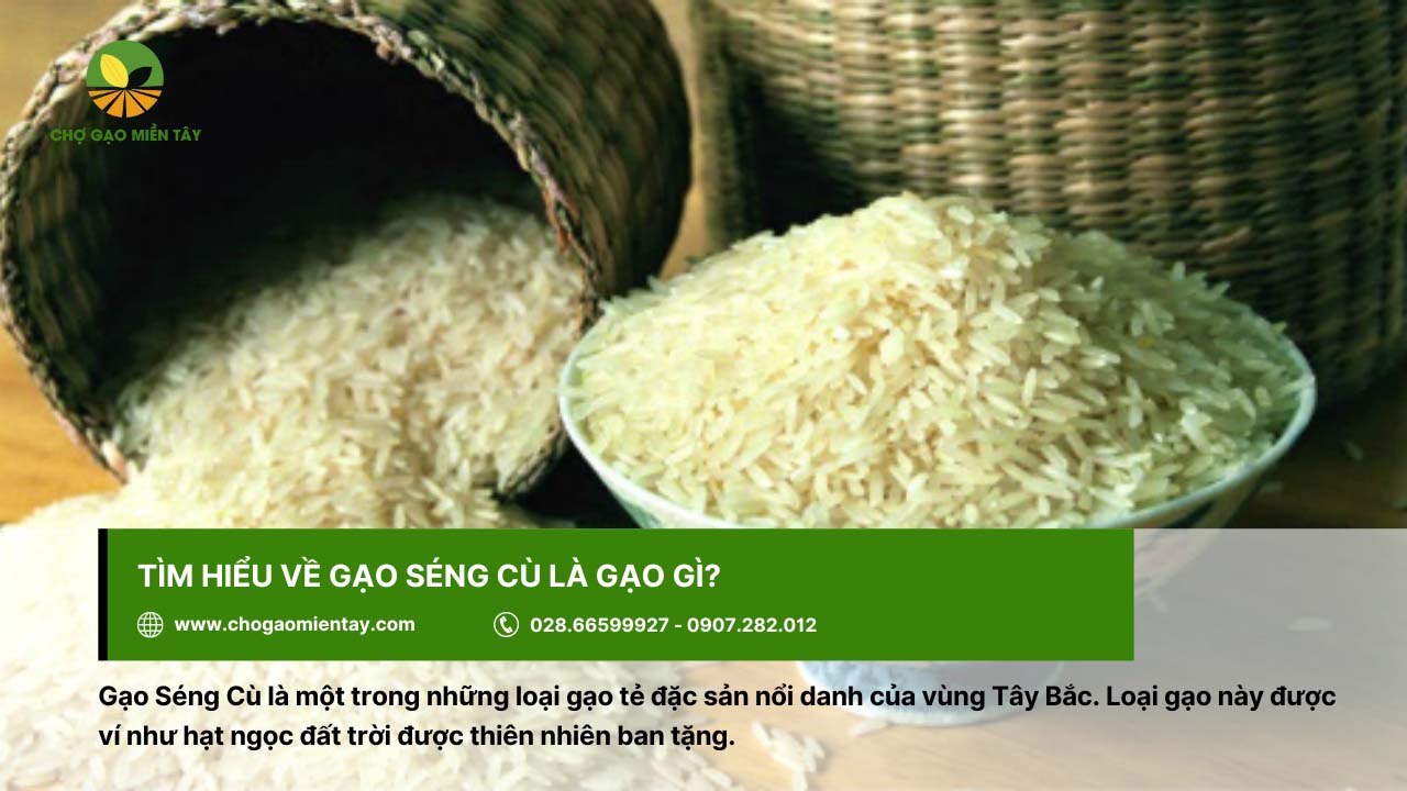Gạo Séng Cù 2 Gạo Séng Cú với mùi thơm tự nhiên