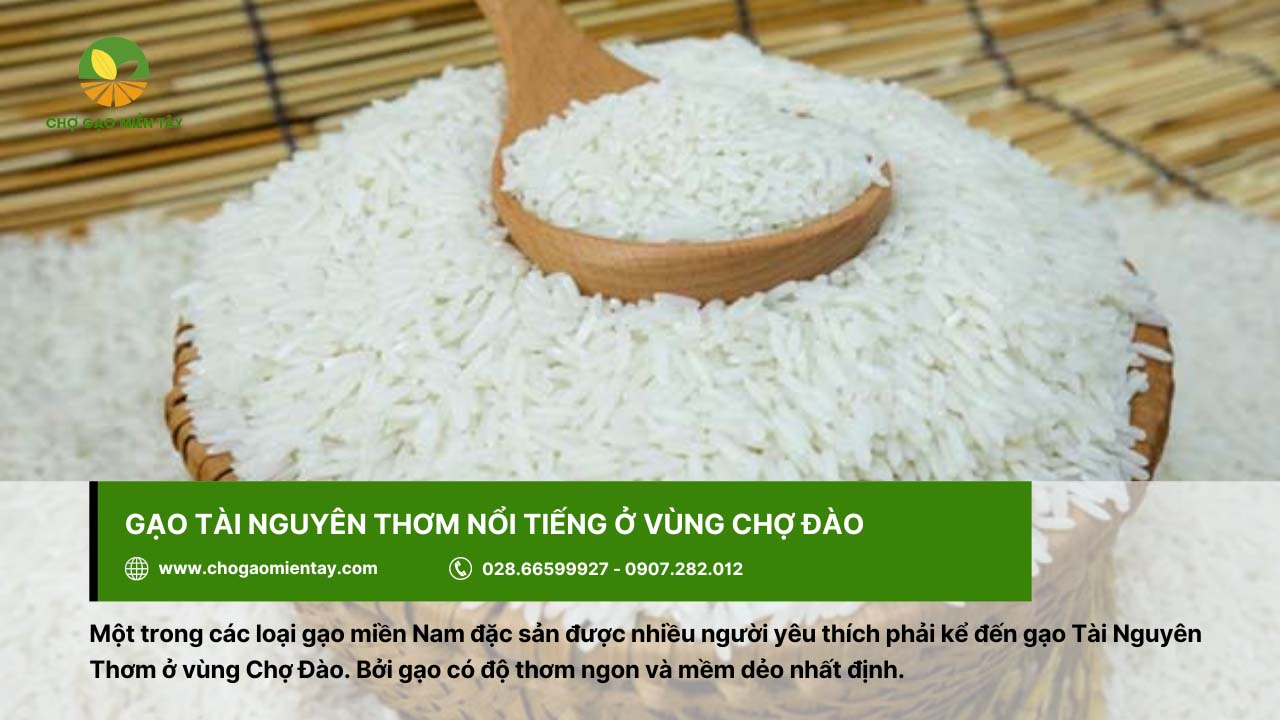 Top các loại gạo miền Nam được ưa chuộng hiện nay 2 Gạo Tài Nguyên Thơm có độ mềm dẻo được nhiều người yêu thích