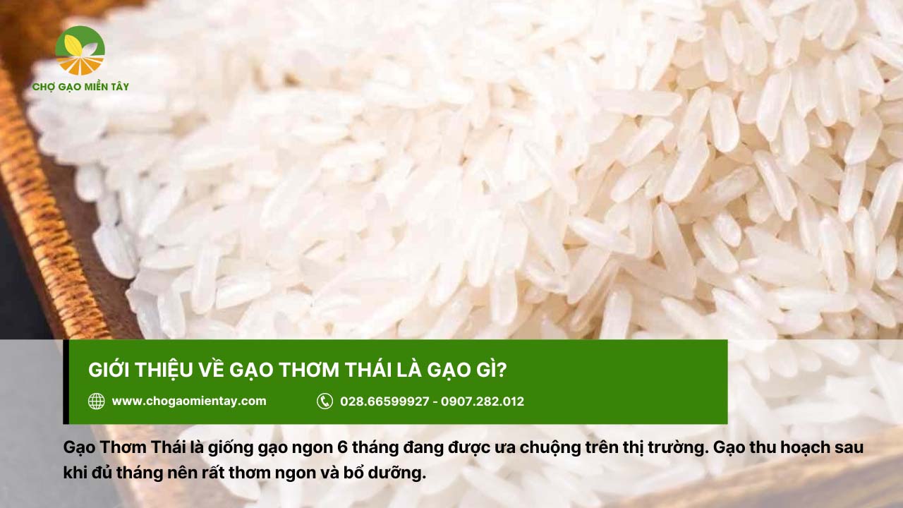 Gạo Thơm Thái 2 Gạo Thơm Thái rất được người tiêu dùng ưa chuộng
