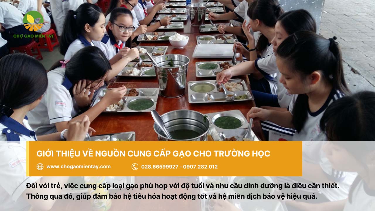 Nguồn cung cấp gạo cho trường học, căn tin giá sỉ chất lượng 2 Gạo cung cấp cho trường học cần đảm bảo dinh dưỡng cần thiết