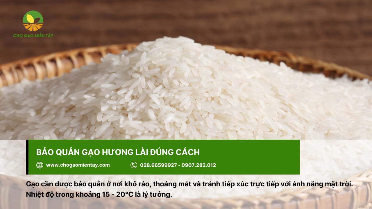 Gạo Hương Lài Sữa 21 Gạo Hương Lài nên được bảo quản nơi khô ráo và thoáng mát
