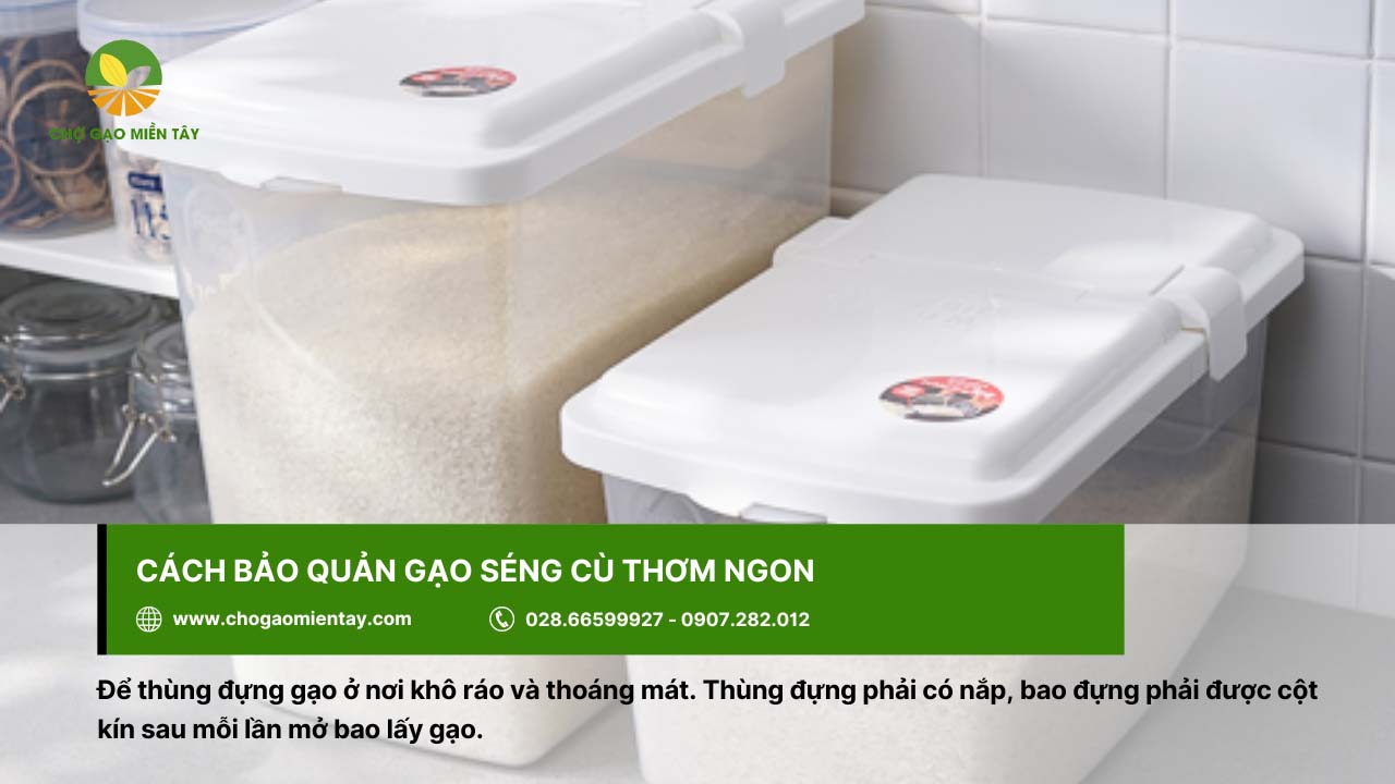 Gạo Séng Cù 11 Nên bảo quản gạo Séng Cù trong thùng đựng có nắp