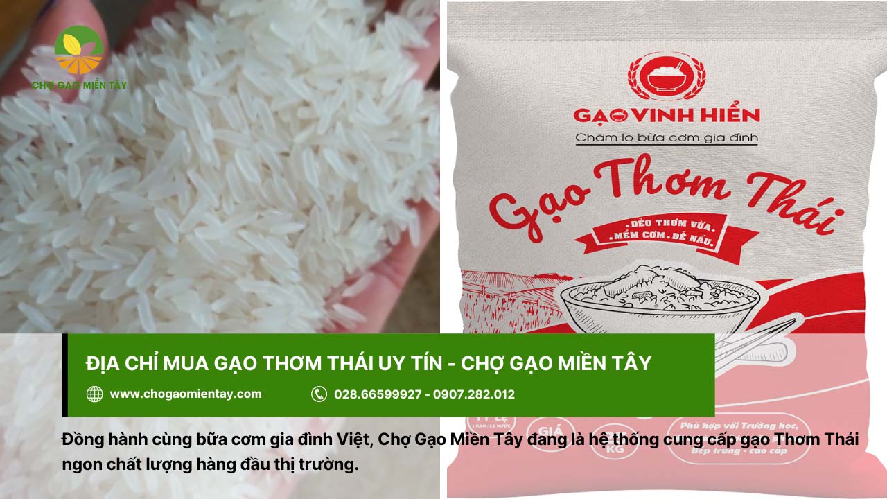 Gạo Thơm Thái 11 Chợ Gạo Miền Tây cung cấp gạo Thơm Thái chất lượng