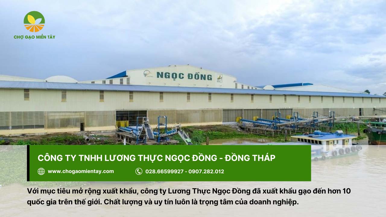 Top 10 công ty xuất khẩu lúa gạo lớn nhất Việt Nam 11 Công ty Ngọc Đồng xuất khẩu gạo đến hơn 10 quốc gia trên thế giới