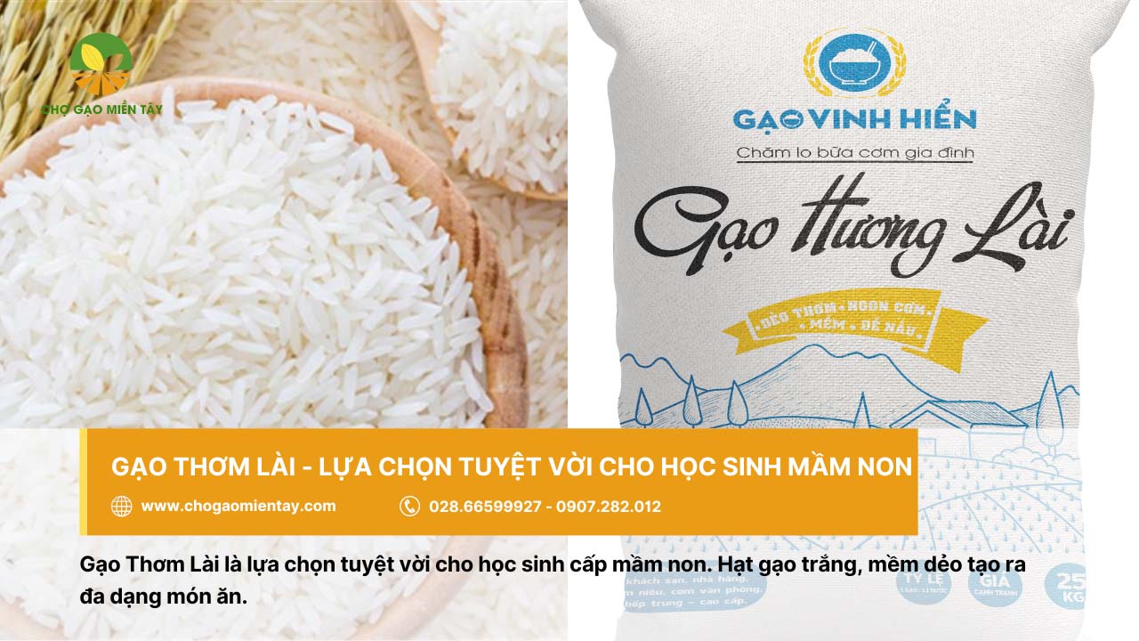 Nguồn cung cấp gạo cho trường học, căn tin giá sỉ chất lượng 11 Gạo Thơm Lài thích hợp sử dụng ở các trường mầm non