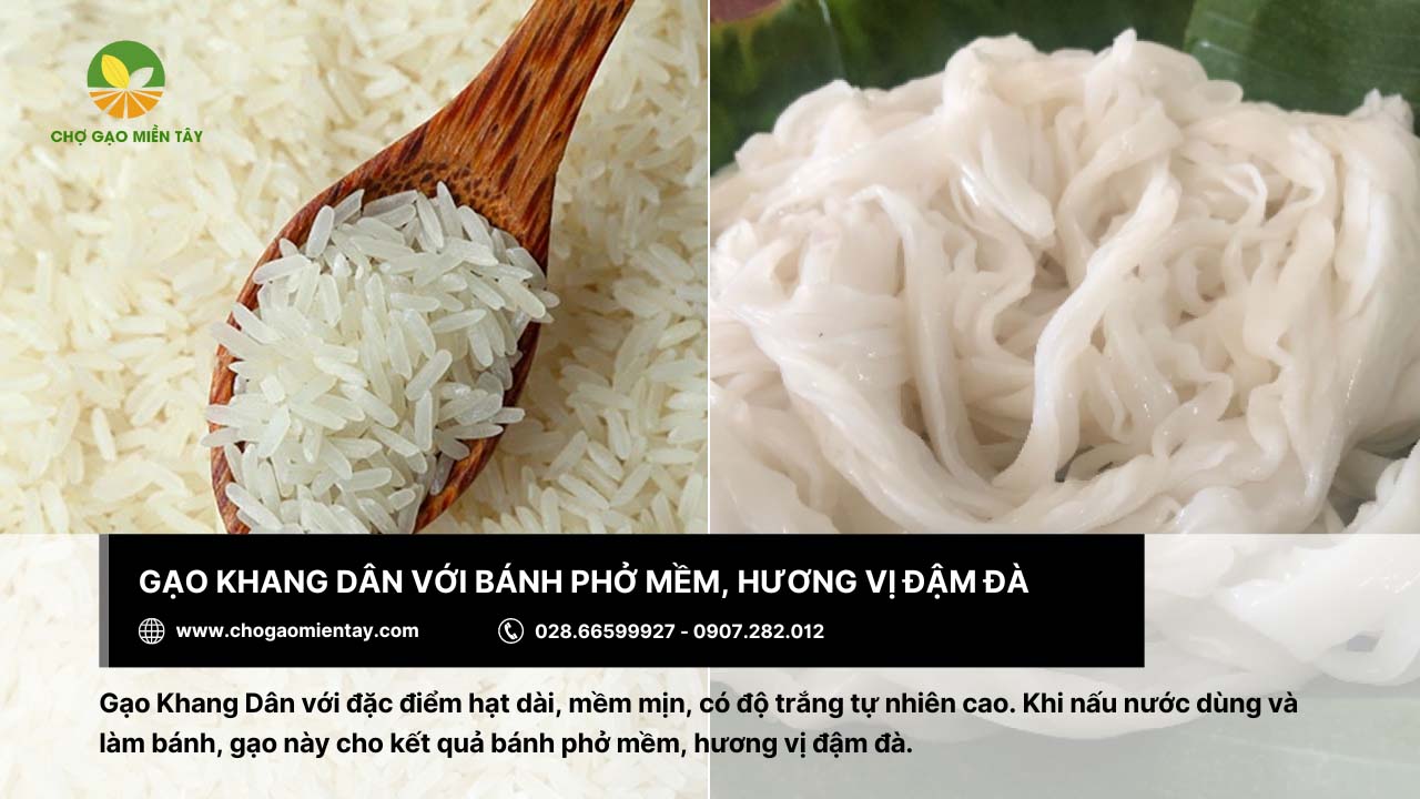 Gạo làm bánh phở: Tiêu chí và địa chỉ mua gạo chất lượng 11 Gạo Khang Dân dùng làm bánh phở với hương vị đậm đà