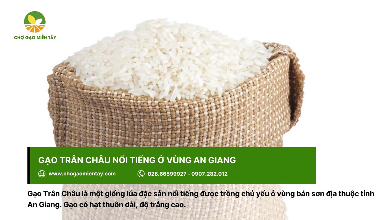 Top các loại gạo miền Nam được ưa chuộng hiện nay 11 Gạo Trân Châu là loại gạo nổi tiếng ở vùng đất An Giang