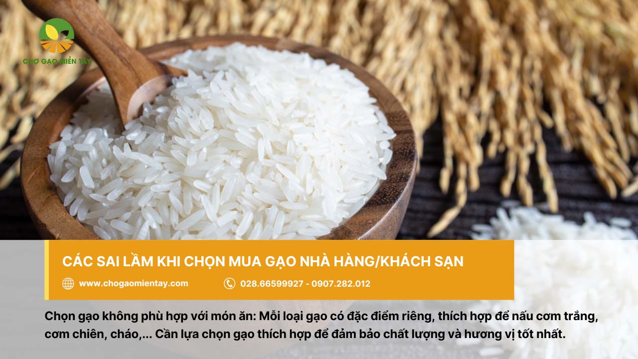Nguồn bán gạo cung cấp gạo nhà hàng khách sạn uy tín chất lượng 11 Lưu ý không chọn gạo không phù hợp với món ăn