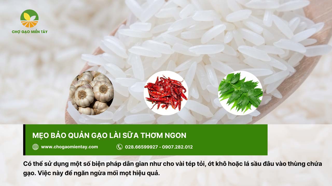 Gạo Lài Sữa 11 Có thể sử dụng biện pháp dân gian để bảo quản gạo